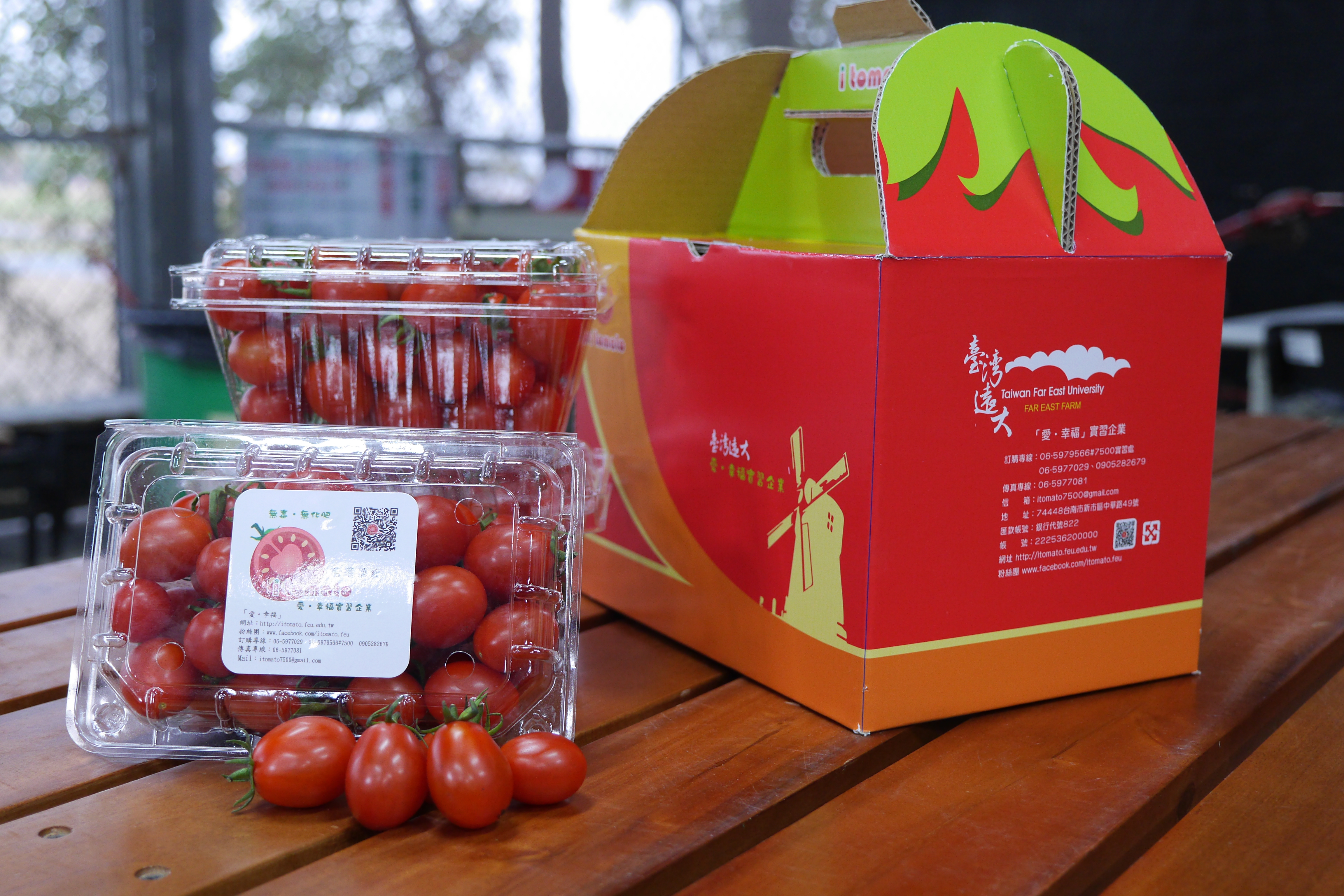 禮尚往來「玉女提盒」組